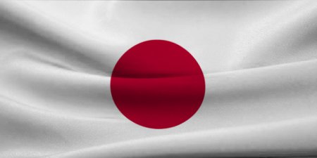 Япония примет решение о необходимости присоединения к АБИИ во второй половине июня - СМИ