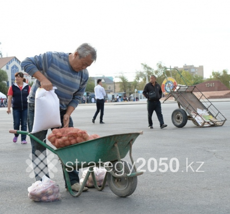 Свыше 800 тонн сельхозпродукции привезли аграрии на ярмарку в Кызылорду  (фото)