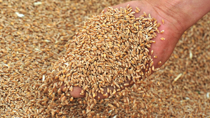 В Таджикистане произведено свыше 1,2 млн тонн зерновых