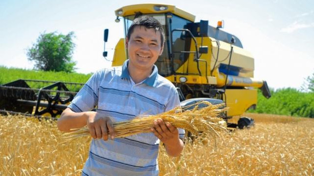 Правительство Узбекистана заплатит фермерам за одну тонну зерна по $140