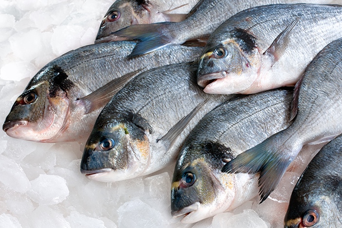 Ловись, рыбка: заводчики страны обеспечивают лишь менее половины спроса на рыбу и морепродукты