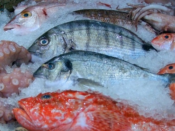 Photo of Рынок рыбы и рыбной продукции в РК наполовину принадлежит импортёрам