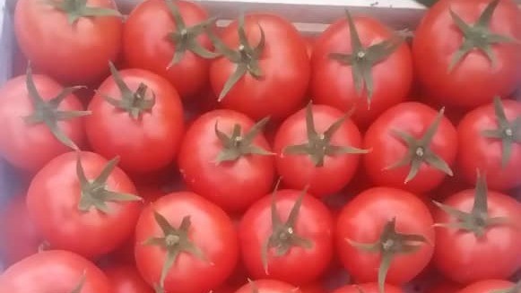 Туркменские издания сообщают о росте экспорта помидоров