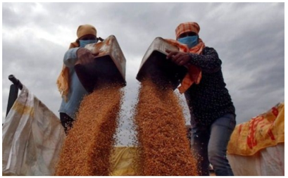 Photo of Индийская пшеница вызвала «безумие» на мировом продовольственном рынке
