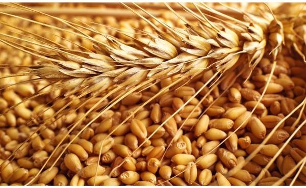 Photo of В Грузии закончилась пшеница