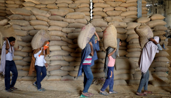 Photo of Индия приготовила «мучное» потрясение для мирового продовольственного рынка