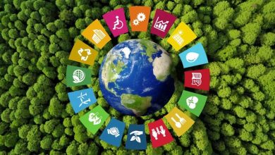Photo of Устойчивое развитие (ESG): необходимо для благосостояния экономики и общества, но долгосрочно и дорого